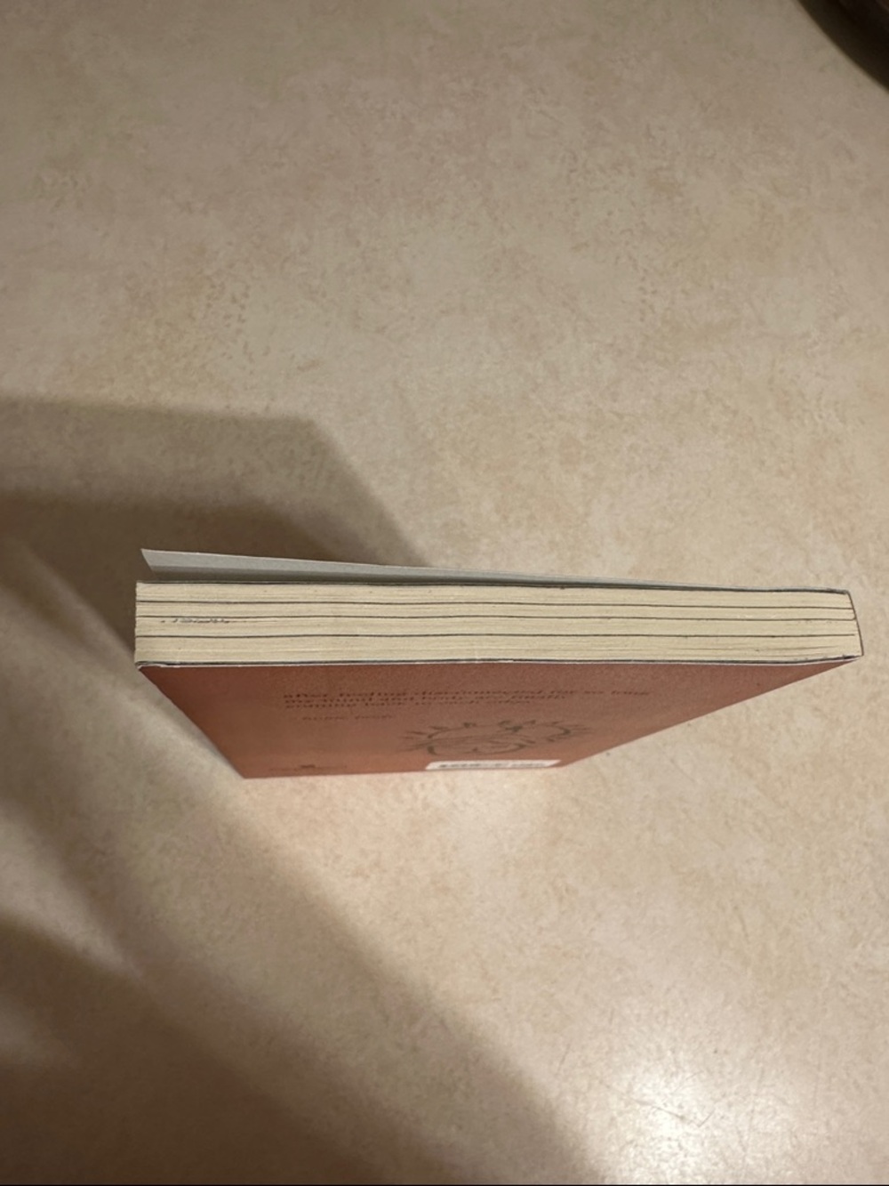 Home Body by rupi kaur - Rust Brown Paperback - Picture 3 of 6